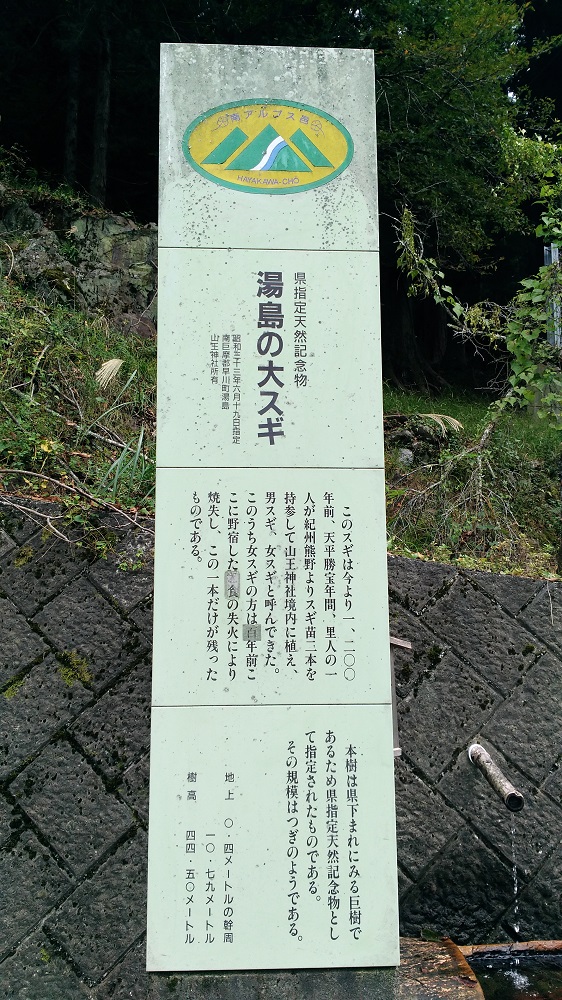 湯島の大杉看板