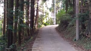 野田山キャンプ場への道