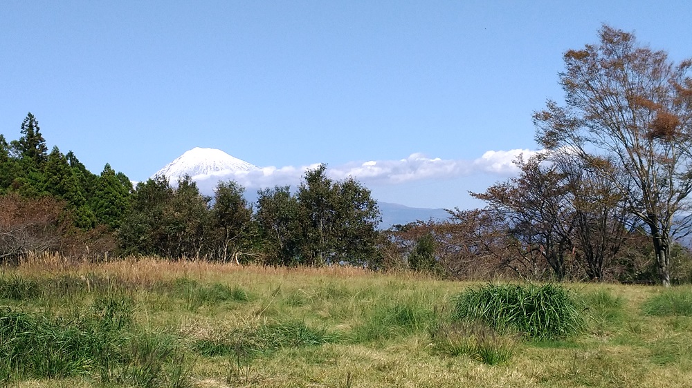 野田山健康緑地公園からの富士山