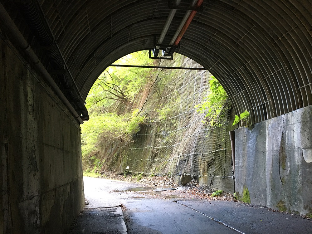 夢の吊橋に向かうトンネル